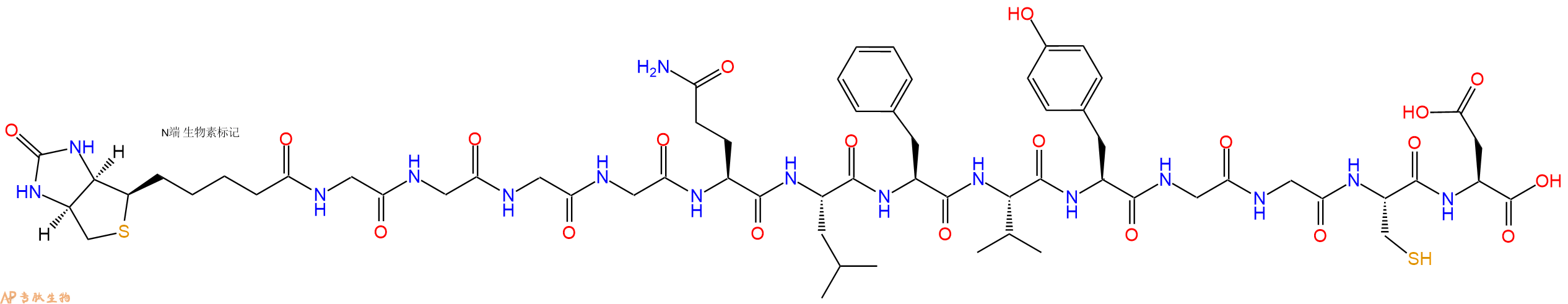 專肽生物產(chǎn)品Biotinyl-Gly-Gly-Gly-Gly-Gln-Leu-Phe-Val-Tyr-Gly-Gly-Cys-Asp-OH