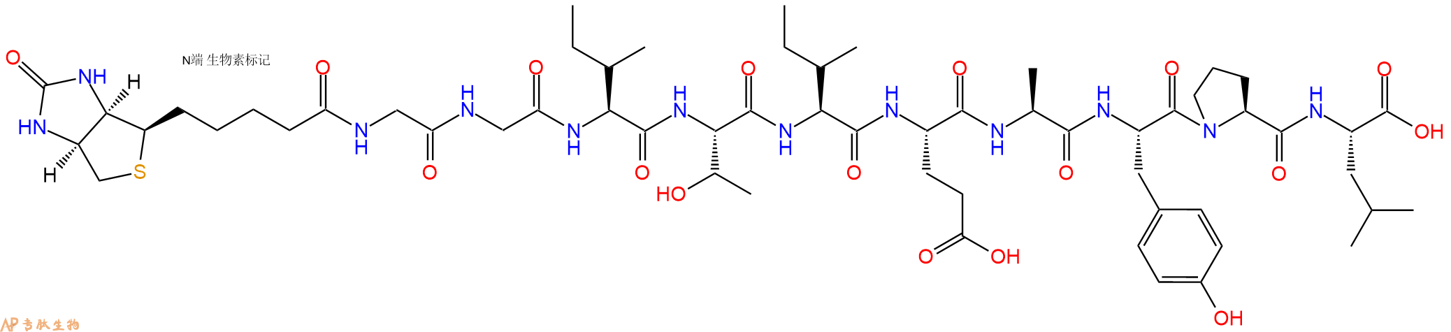 專(zhuān)肽生物產(chǎn)品Biotinyl-Gly-Gly-Ile-Thr-Ile-Glu-Ala-Tyr-Pro-Leu-OH