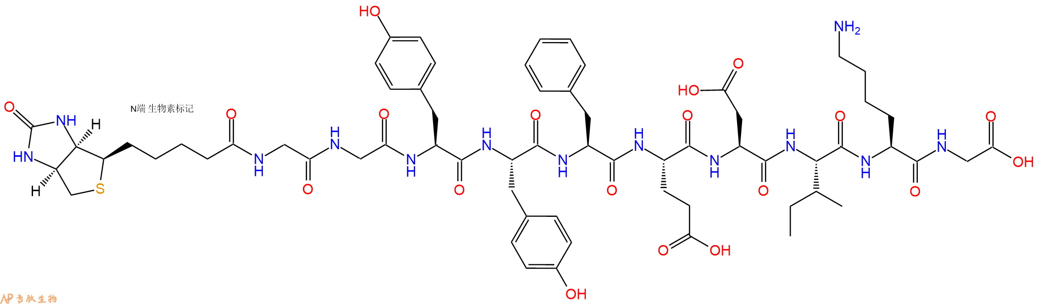 專肽生物產(chǎn)品Biotinyl-Gly-Gly-Tyr-Tyr-Phe-Glu-Asp-Ile-Lys-Gly-OH