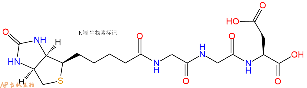 專肽生物產(chǎn)品Biotinyl-Gly-Gly-Asp-OH