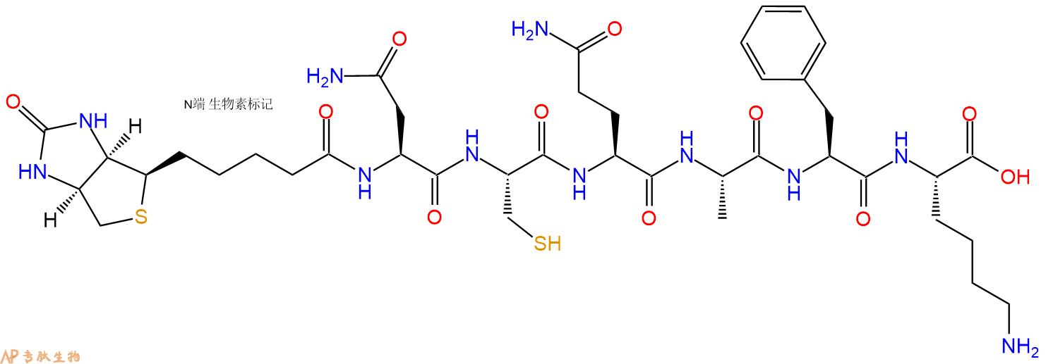 專肽生物產(chǎn)品Biotinyl-Asn-Cys-Gln-Ala-Phe-Lys-OH