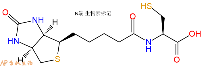 專肽生物產(chǎn)品Biotinyl-Cys-OH