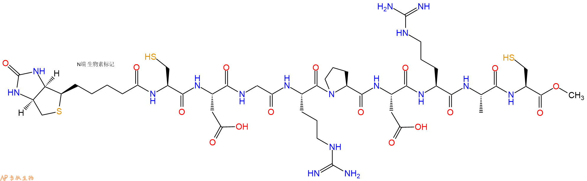 專肽生物產(chǎn)品Biotinyl-Cys-Asp-Gly-Arg-Pro-Asp-Arg-Ala-Cys-OMe