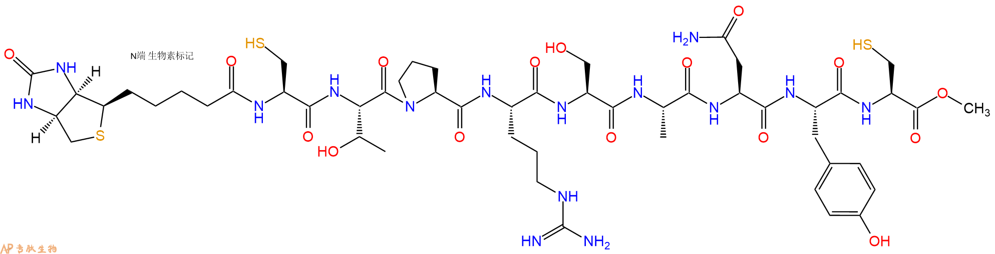 專肽生物產(chǎn)品Biotinyl-Cys-Thr-Pro-Arg-Ser-Ala-Asn-Tyr-Cys-OMe