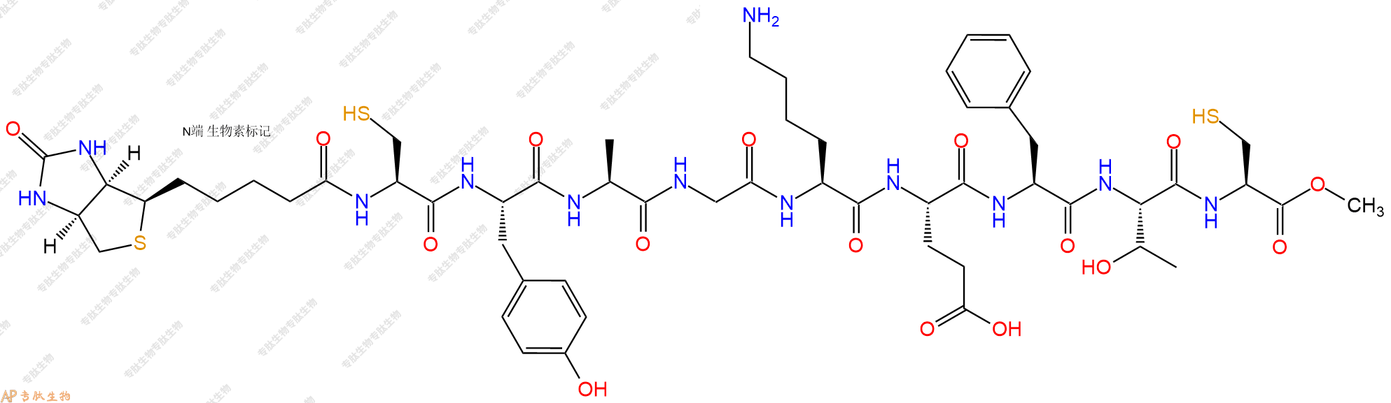 專(zhuān)肽生物產(chǎn)品Biotinyl-Cys-Tyr-Ala-Gly-Lys-Glu-Phe-Thr-Cys-OMe