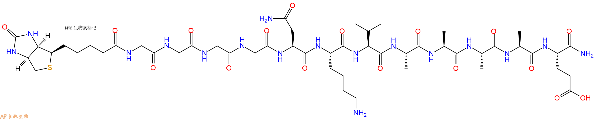 專(zhuān)肽生物產(chǎn)品Biotinyl-Gly-Gly-Gly-Gly-Asn-Lys-Val-Ala-Ala-Ala-Ala-Glu-NH2