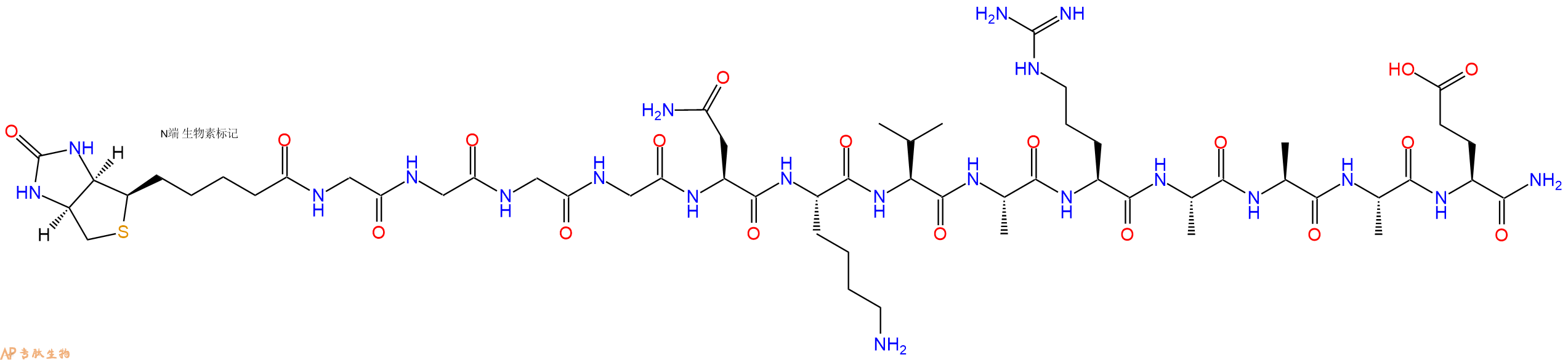 專肽生物產(chǎn)品Biotinyl-Gly-Gly-Gly-Gly-Asn-Lys-Val-Ala-Arg-Ala-Ala-Ala-Glu-NH2