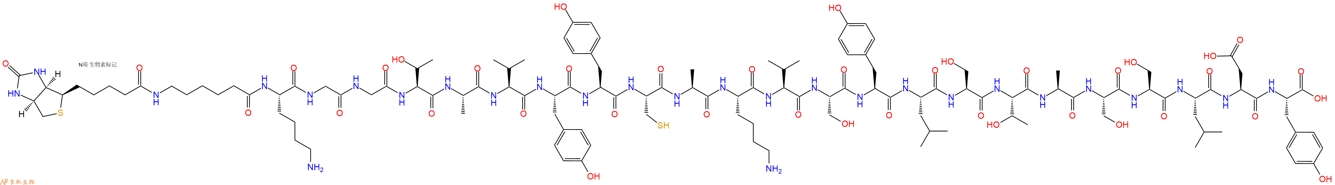 專肽生物產(chǎn)品Biotinyl-Ahx-Lys-Gly-Gly-Thr-Ala-Val-Tyr-Tyr-Cys-Ala-Lys-Val-Ser-Tyr-Leu-Ser-Thr-Ala-Ser-Ser-Leu-Asp-Tyr-OH