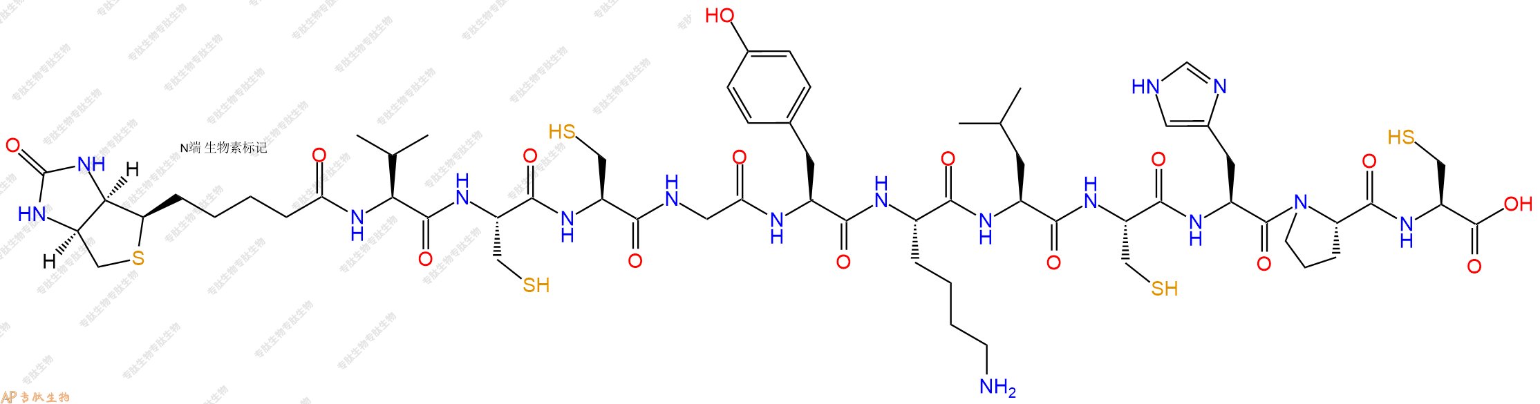 專肽生物產(chǎn)品Biotinyl-Val-Cys-Cys-Gly-Tyr-Lys-Leu-Cys-His-Pro-Cys-OH