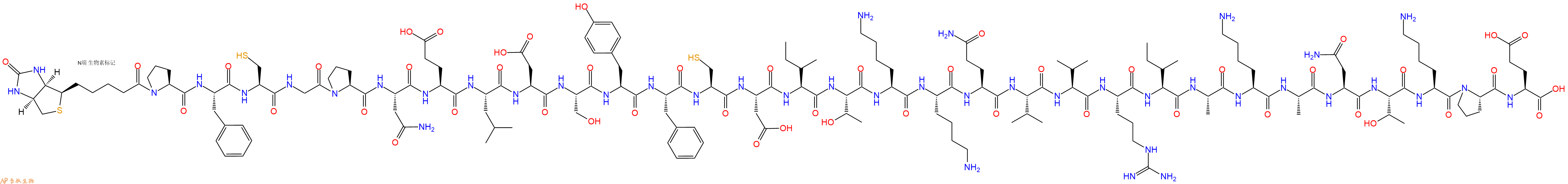 專肽生物產(chǎn)品Biotinyl-Pro-Phe-Cys-Gly-Pro-Asn-Glu-Leu-Asp-Ser-Tyr-Phe-Cys-Asp-Ile-Thr-Lys-Lys-Gln-Val-Val-Arg-Ile-Ala-Lys-Ala-Asn-Thr-Lys-Pro-Glu-OH