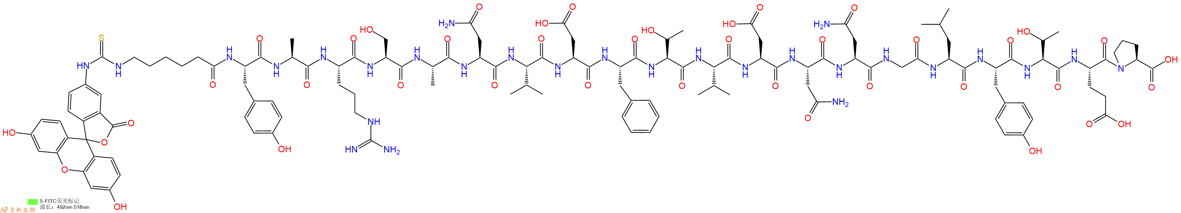 專肽生物產(chǎn)品5FITC-Ahx-Tyr-Ala-Arg-Ser-Ala-Asn-Val-Asp-Phe-Thr-Val-Asp-Asn-Asn-Gly-Leu-Tyr-Thr-Glu-Pro-OH