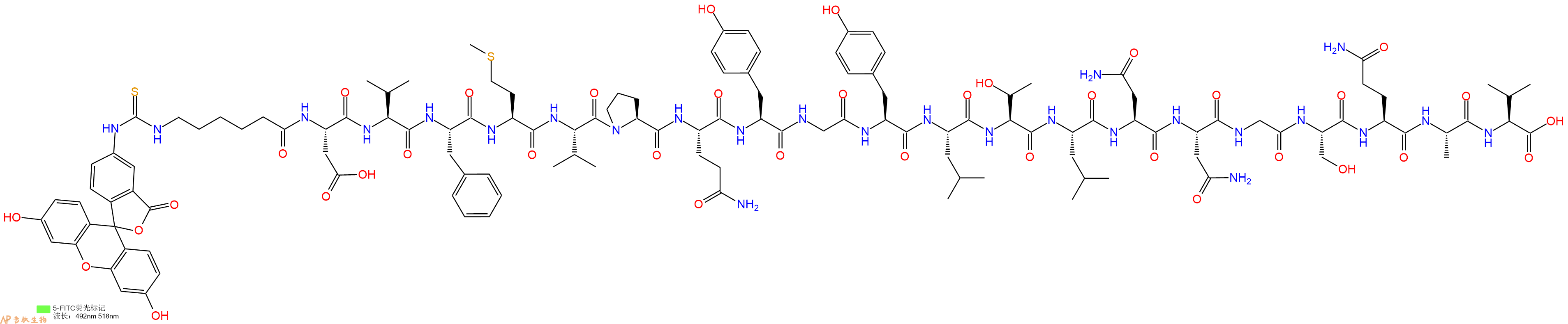 專肽生物產(chǎn)品5FITC-Ahx-Asp-Val-Phe-Met-Val-Pro-Gln-Tyr-Gly-Tyr-Leu-Thr-Leu-Asn-Asn-Gly-Ser-Gln-Ala-Val-OH