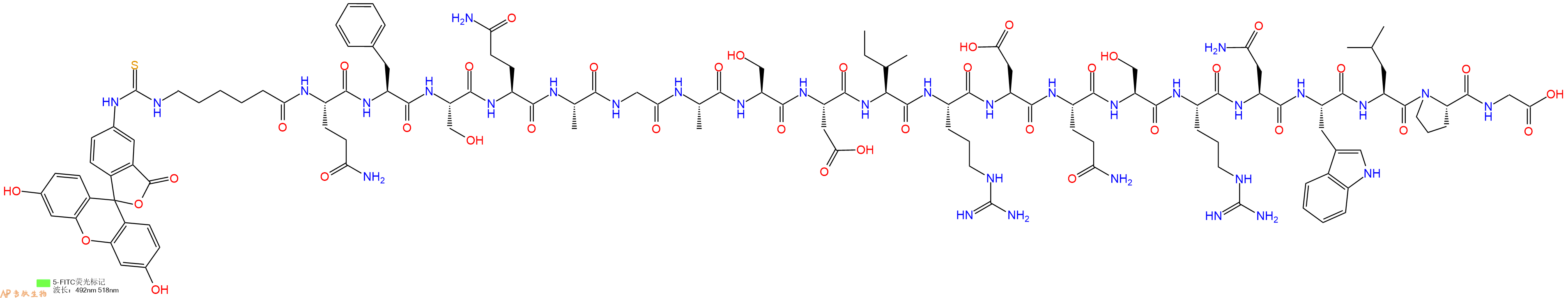 專肽生物產(chǎn)品5FITC-Ahx-Gln-Phe-Ser-Gln-Ala-Gly-Ala-Ser-Asp-Ile-Arg-Asp-Gln-Ser-Arg-Asn-Trp-Leu-Pro-Gly-OH