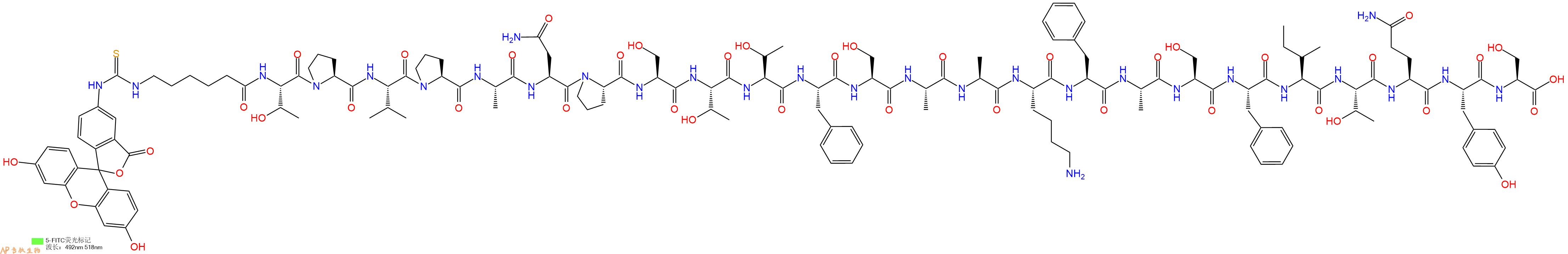 專肽生物產品5FITC-Ahx-Thr-Pro-Val-Pro-Ala-Asn-Pro-Ser-Thr-Thr-Phe-Ser-Ala-Ala-Lys-Phe-Ala-Ser-Phe-Ile-Thr-Gln-Tyr-Ser-OH