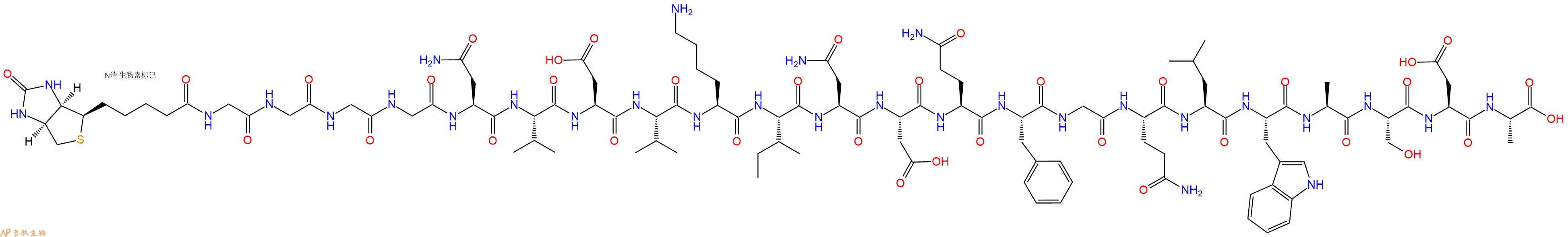 專肽生物產(chǎn)品Biotinyl-Gly-Gly-Gly-Gly-Asn-Val-Asp-Val-Lys-Ile-Asn-Asp-Gln-Phe-Gly-Gln-Leu-Trp-Ala-Ser-Asp-Ala-OH