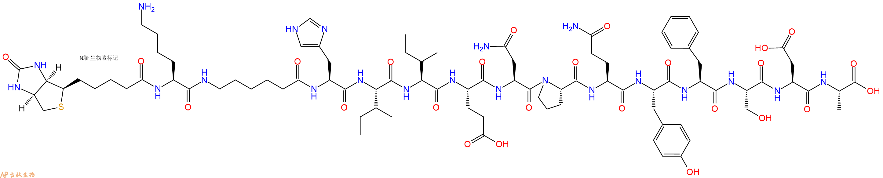 專肽生物產(chǎn)品Biotinyl-Lys-Ahx-His-Ile-Ile-Glu-Asn-Pro-Gln-Tyr-Phe-Ser-Asp-Ala-OH