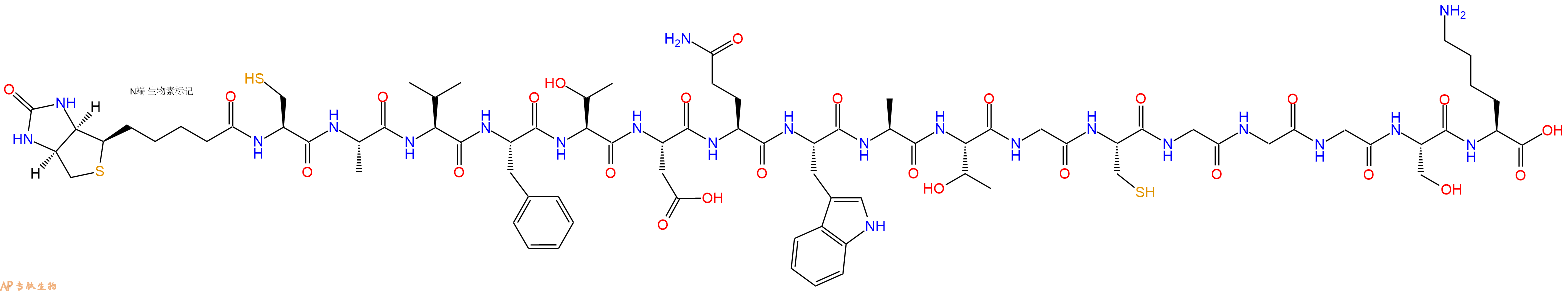 專肽生物產(chǎn)品Biotinyl-Cys-Ala-Val-Phe-Thr-Asp-Gln-Trp-Ala-Thr-Gly-Cys-Gly-Gly-Gly-Ser-Lys-OH