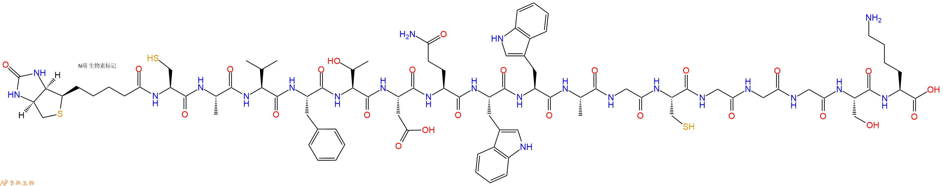 專肽生物產(chǎn)品Biotinyl-Cys-Ala-Val-Phe-Thr-Asp-Gln-Trp-Trp-Ala-Gly-Cys-Gly-Gly-Gly-Ser-Lys-OH