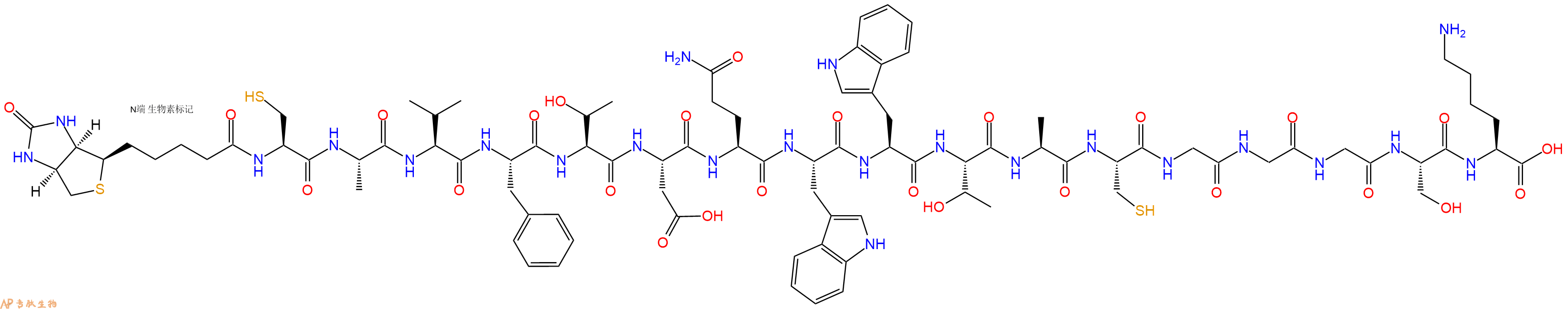 專肽生物產(chǎn)品Biotinyl-Cys-Ala-Val-Phe-Thr-Asp-Gln-Trp-Trp-Thr-Ala-Cys-Gly-Gly-Gly-Ser-Lys-OH