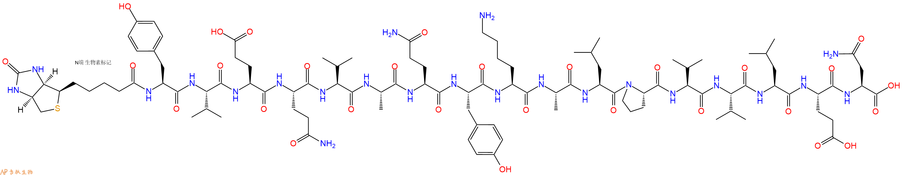 專肽生物產(chǎn)品Biotinyl-Tyr-Val-Glu-Gln-Val-Ala-Gln-Tyr-Lys-Ala-Leu-Pro-Val-Val-Leu-Glu-Asn-OH