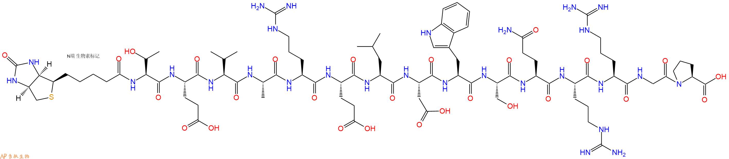 專肽生物產(chǎn)品Biotinyl-Thr-Glu-Val-Ala-Arg-Glu-Leu-Asp-Trp-Ser-Gln-Arg-Arg-Gly-Pro-OH