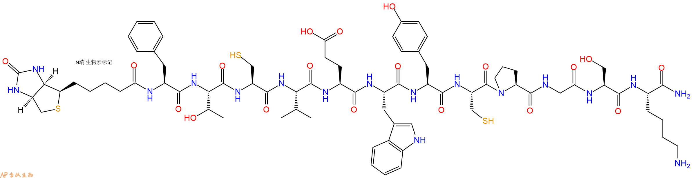 專(zhuān)肽生物產(chǎn)品Biotinyl-Phe-Thr-Cys-Val-Glu-Trp-Tyr-Cys-Pro-Gly-Ser-Lys-CONH2