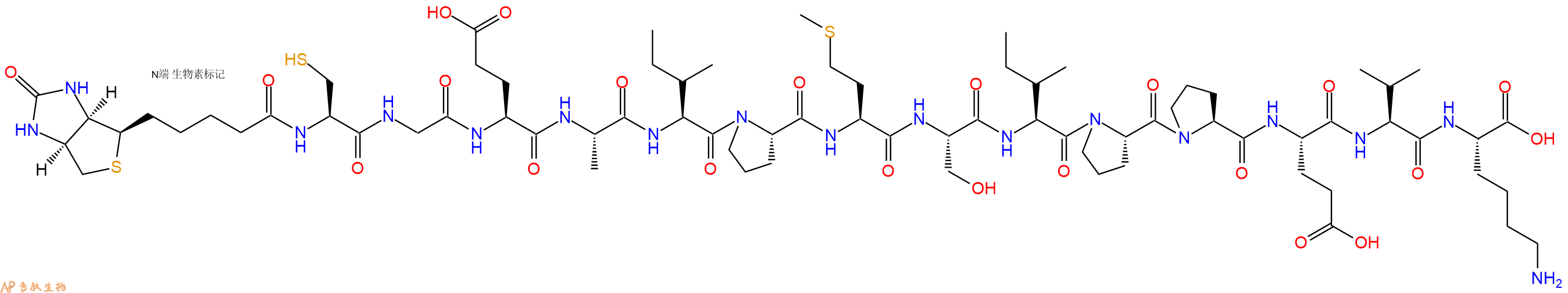 專肽生物產(chǎn)品Biotinyl-Cys-Gly-Glu-Ala-Ile-Pro-Met-Ser-Ile-Pro-Pro-Glu-Val-Lys-OH