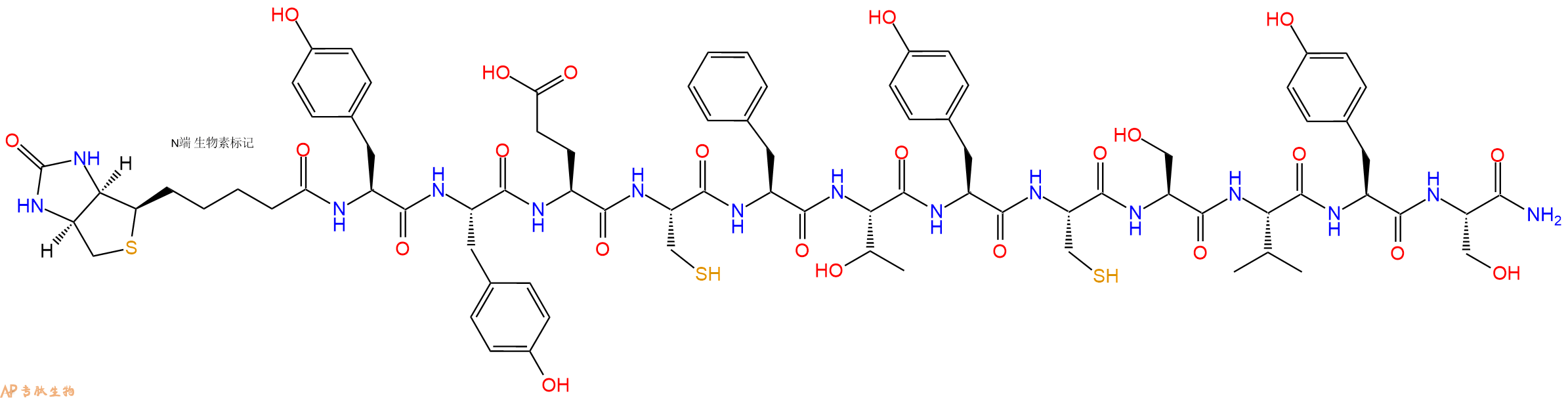 專肽生物產(chǎn)品Biotinyl-Tyr-Tyr-Glu-Cys-Phe-Thr-Tyr-Cys-Ser-Val-Tyr-Ser-CONH2