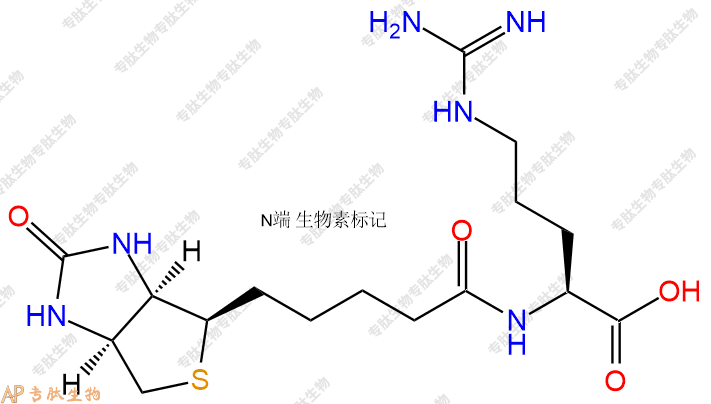 專肽生物產(chǎn)品Biotinyl-Arg-OH