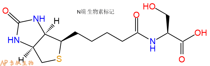 專肽生物產(chǎn)品Biotinyl-Ser-OH