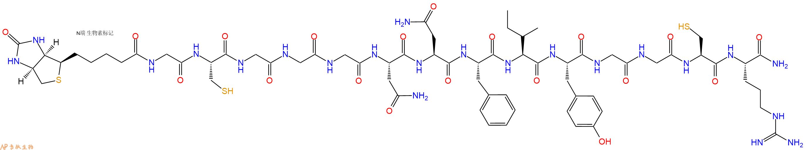 專(zhuān)肽生物產(chǎn)品Biotinyl-Gly-Cys-Gly-Gly-Gly-Asn-Asn-Phe-Ile-Tyr-Gly-Gly-Cys-Arg-CONH2