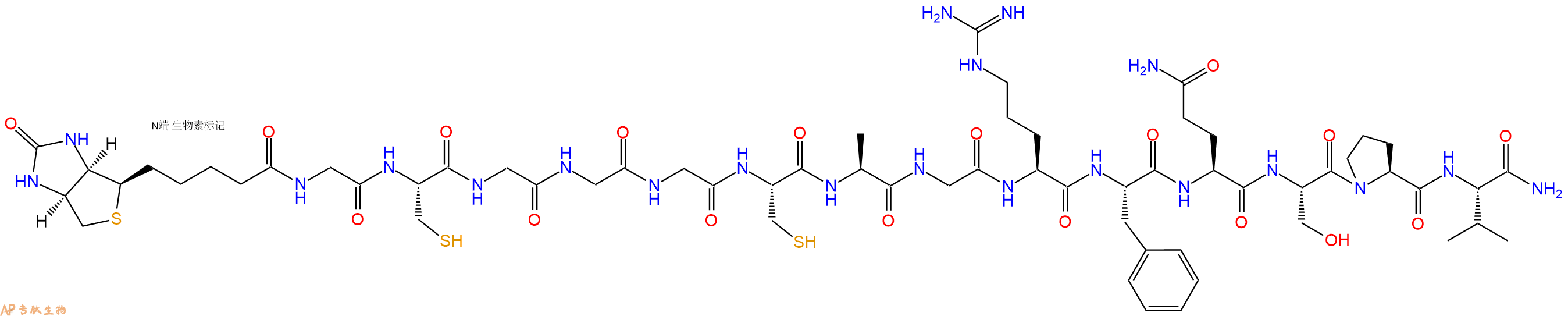 專(zhuān)肽生物產(chǎn)品Biotinyl-Gly-Cys-Gly-Gly-Gly-Cys-Ala-Gly-Arg-Phe-Gln-Ser-Pro-Val-CONH2