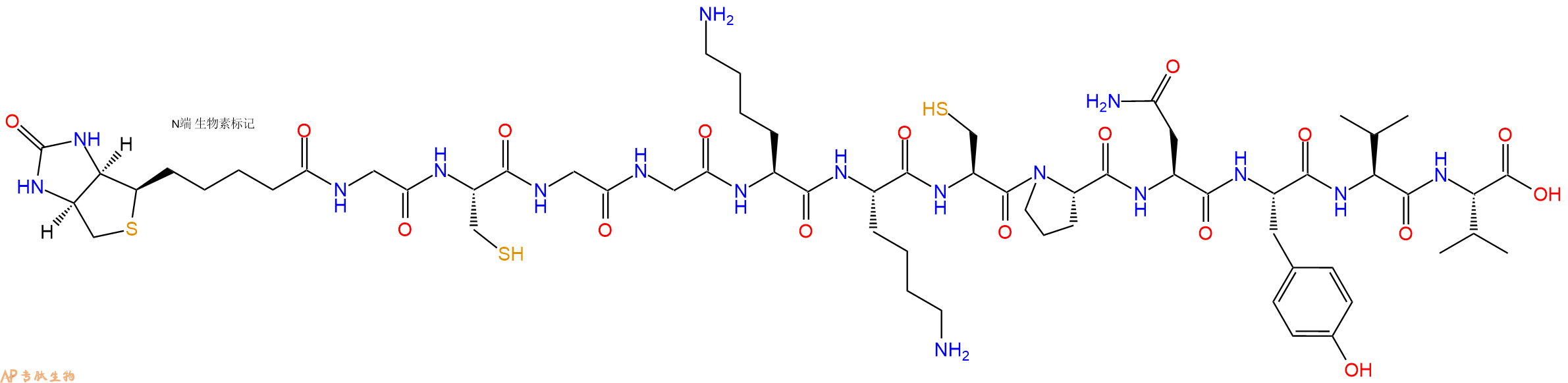 專肽生物產(chǎn)品Biotinyl-Gly-Cys-Gly-Gly-Lys-Lys-Cys-Pro-Asn-Tyr-Val-Val-OH