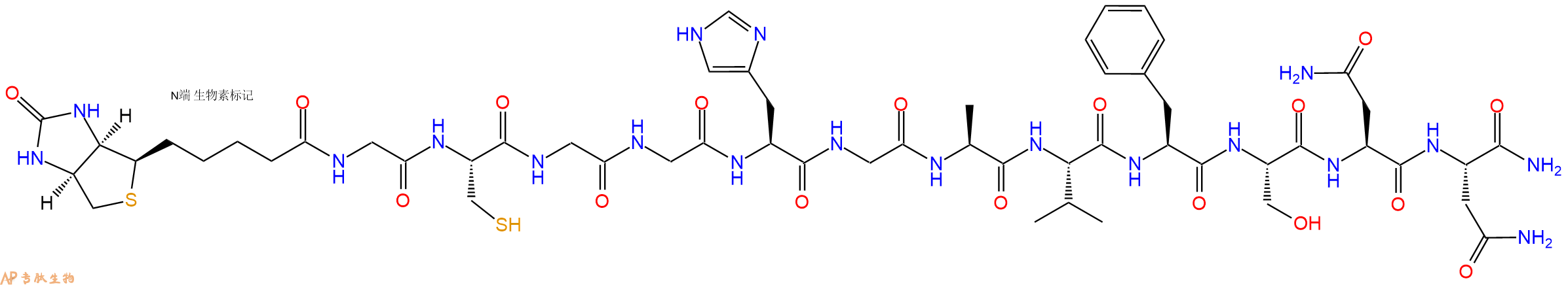 專肽生物產(chǎn)品Biotinyl-Gly-Cys-Gly-Gly-His-Gly-Ala-Val-Phe-Ser-Asn-Asn-CONH2