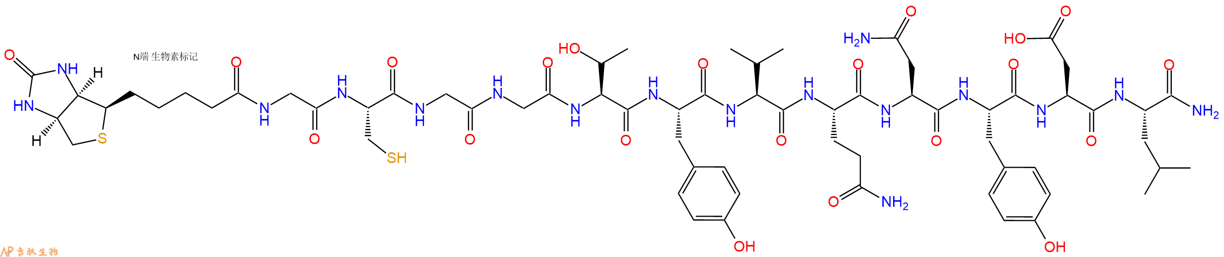 專(zhuān)肽生物產(chǎn)品Biotinyl-Gly-Cys-Gly-Gly-Thr-Tyr-Val-Gln-Asn-Tyr-Asp-Leu-CONH2