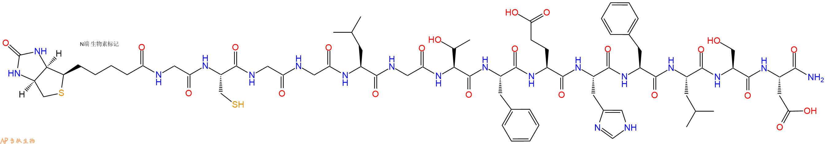 專(zhuān)肽生物產(chǎn)品Biotinyl-Gly-Cys-Gly-Gly-Leu-Gly-Thr-Phe-Glu-His-Phe-Leu-Ser-Asp-CONH2