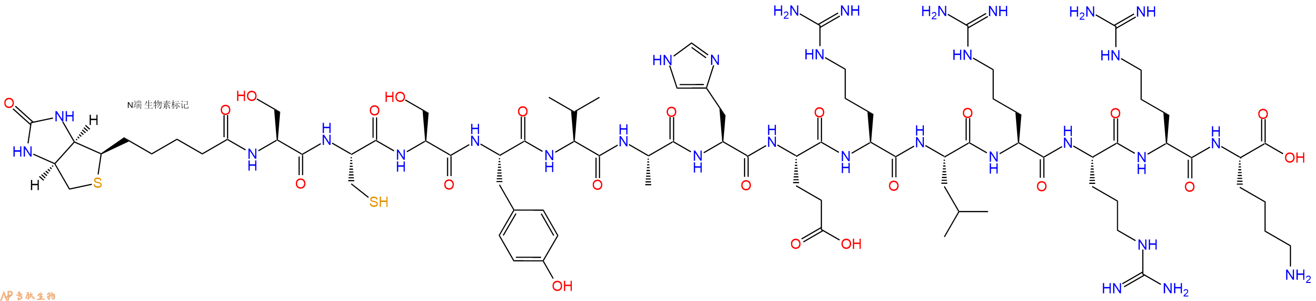 專肽生物產(chǎn)品Biotinyl-Ser-Cys-Ser-Tyr-Val-Ala-His-Glu-Arg-Leu-Arg-Arg-Arg-Lys-OH