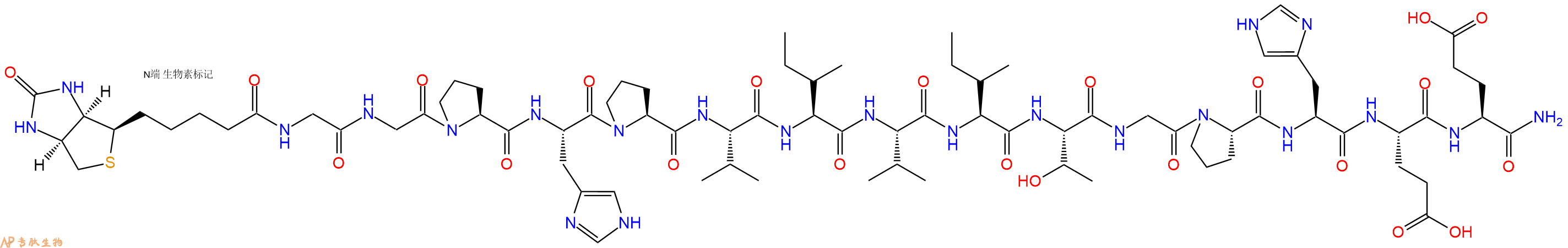 專肽生物產(chǎn)品Biotinyl-Gly-Gly-Pro-His-Pro-Val-Ile-Val-Ile-Thr-Gly-Pro-His-Glu-Glu-CONH2